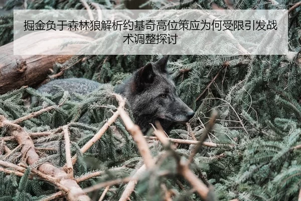 掘金负于森林狼解析约基奇高位策应为何受限引发战术调整探讨