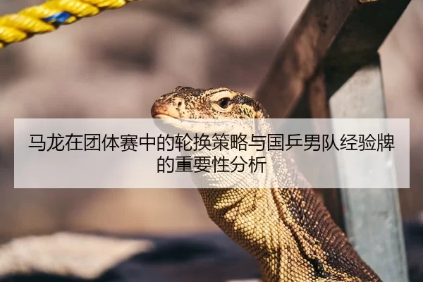 马龙在团体赛中的轮换策略与国乒男队经验牌的重要性分析