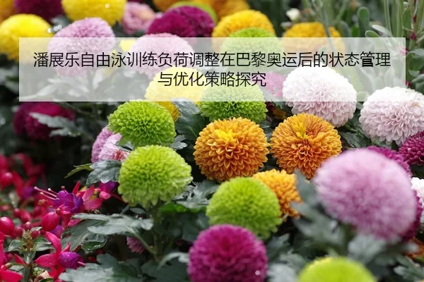 潘展乐自由泳训练负荷调整在巴黎奥运后的状态管理与优化策略探究