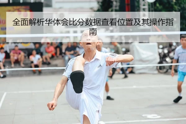 全面解析华体会比分数据查看位置及其操作指南