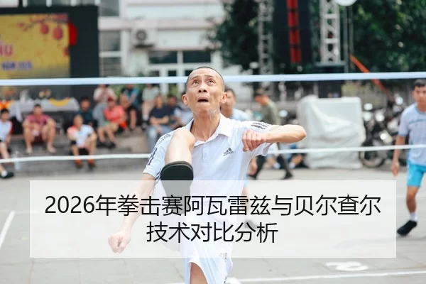 2026年拳击赛阿瓦雷兹与贝尔查尔技术对比分析