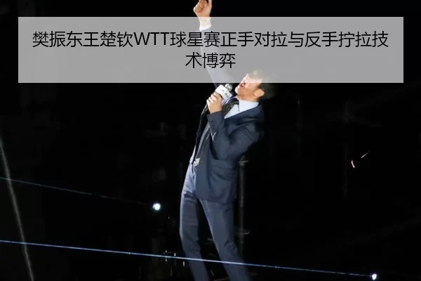 樊振东王楚钦WTT球星赛正手对拉与反手拧拉技术博弈