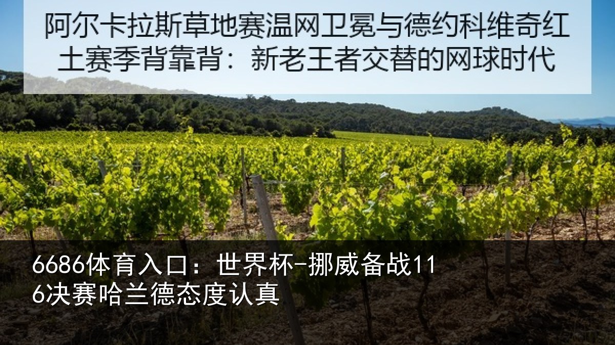 6686体育入口：世界杯-挪威备战116决赛哈兰德态度认真