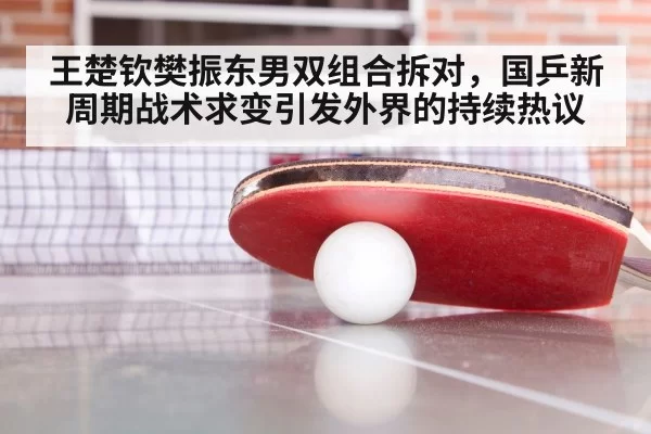 王楚钦樊振东男双组合拆对，国乒新周期战术求变引发外界的持续热议