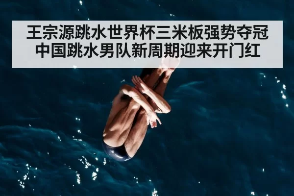 diver mid air dive